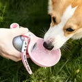 Dog Water Bottle Bowl
